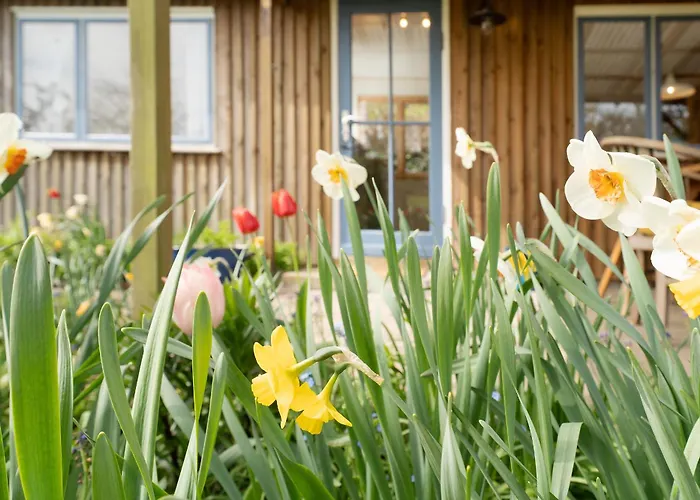 Appartement Walnut *